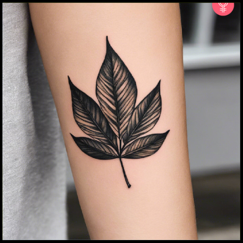 Single Leaf Tattoo 