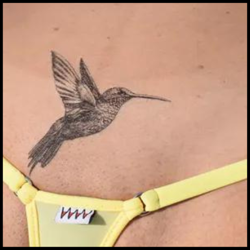 Bikini Line Hummingbird Tattoo