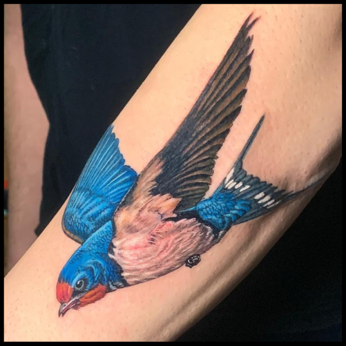 Blue Sparrow Tattoo