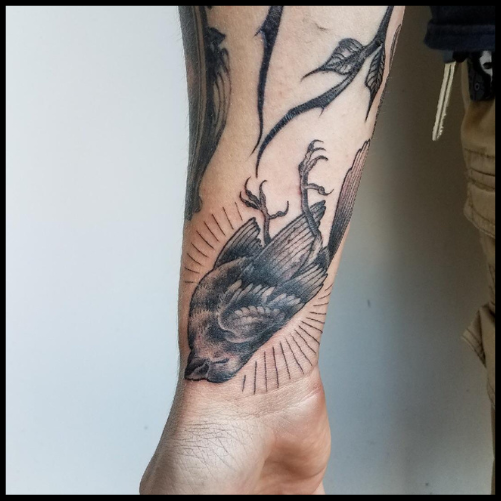 Dead Sparrow Tattoo Sparrow Tattoo Ideas