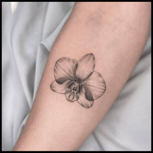 Single Orchid Tattoo