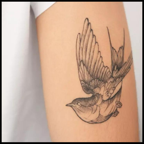 Sparrow Outline Tattoo