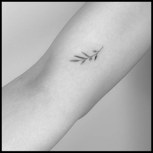Simple Olive Branch Tattoo