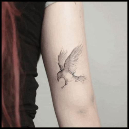 White Raven Tattoo Ideas